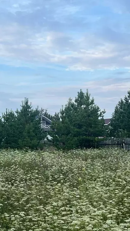 Участок в Челябинская область, Каслинский муниципальный округ, д. ... - Фото 1