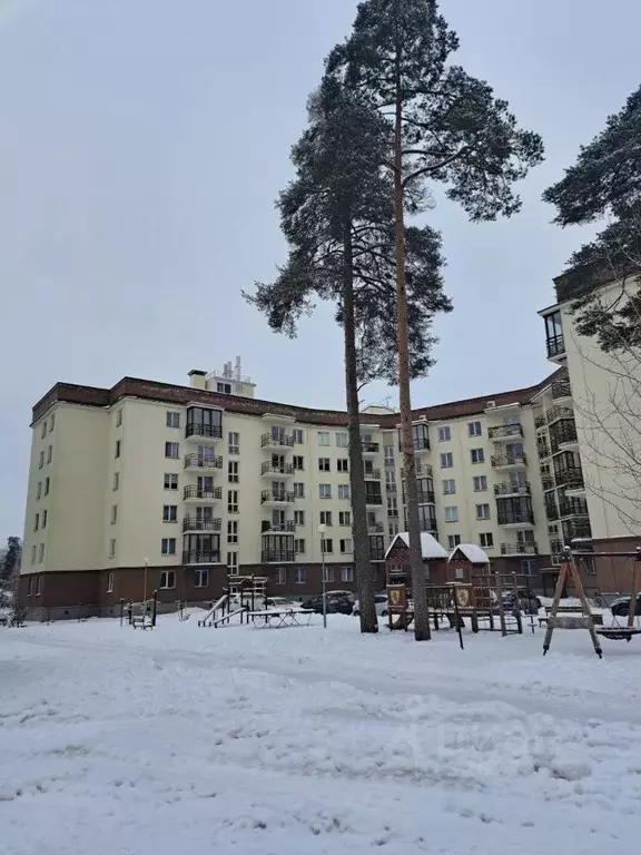 Студия Ленинградская область, Всеволожский район, Агалатовское с/пос, ... - Фото 2