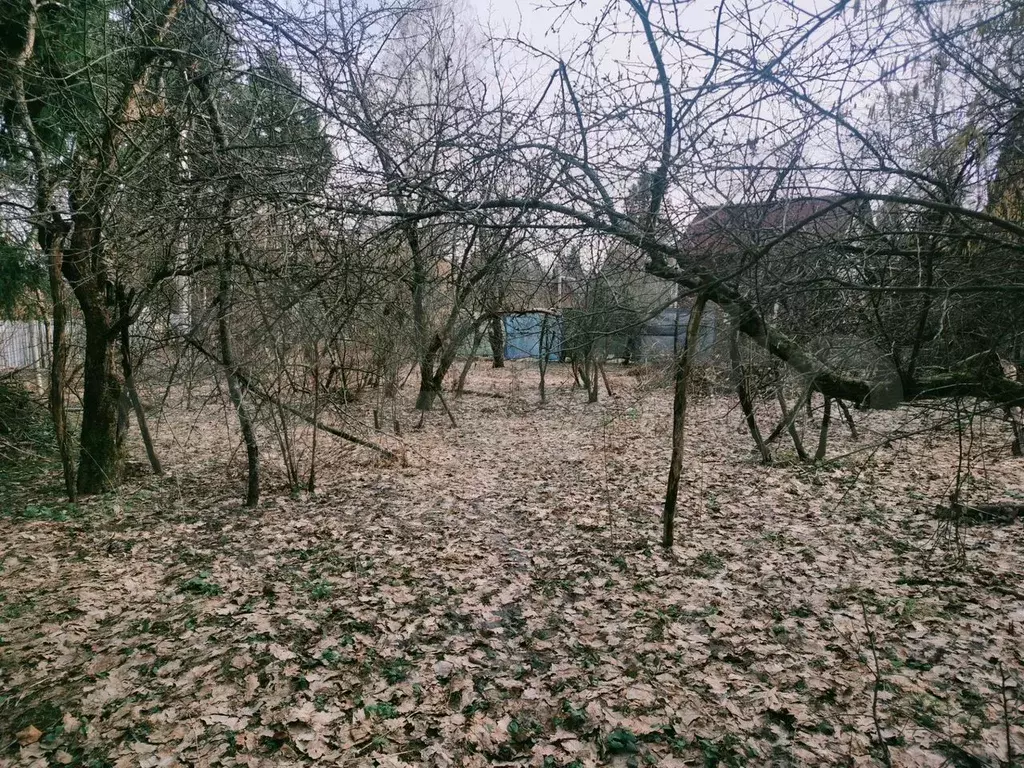 Участок 8 сот. (СНТ, ДНП) - Фото 1