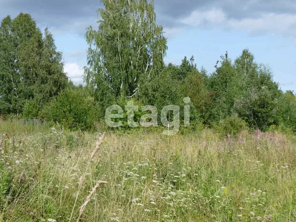 Участок в Свердловская область, Тугулымский городской округ, пос. ... - Фото 0