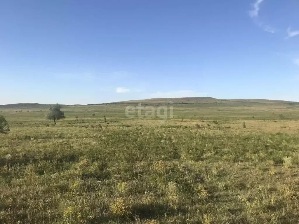 Участок в Ставропольский край, Шпаковский муниципальный округ, ... - Фото 1