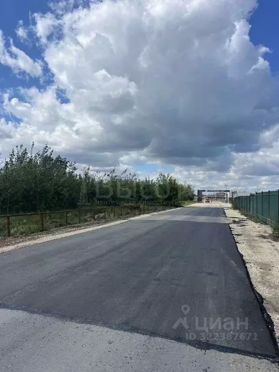 Участок в Воронежская область, Рамонский район, Новоживотинновское ... - Фото 1