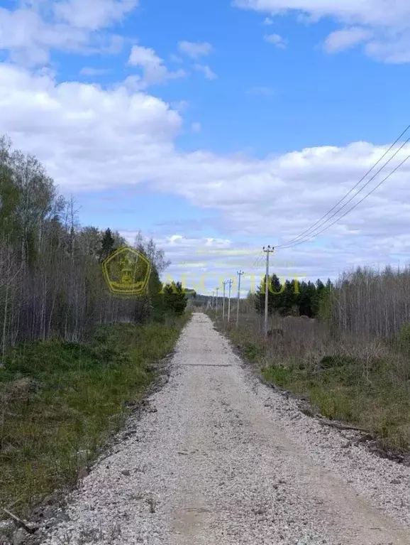 Участок в Свердловская область, Ревда муниципальный округ, с. ... - Фото 2