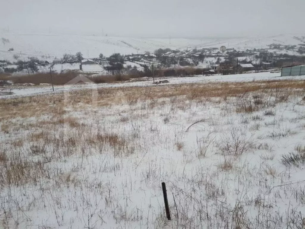 Участок в Волгоградская область, Городищенский район, ... - Фото 1