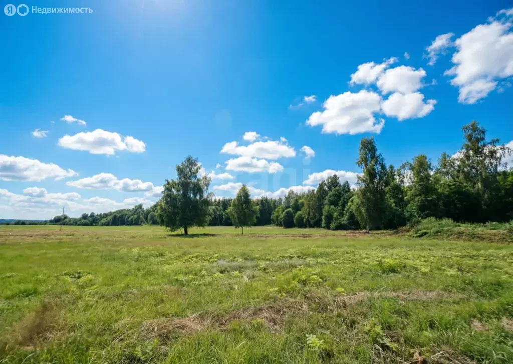 Участок в Выборгский район, Полянское сельское поселение, КП Крылья ... - Фото 2