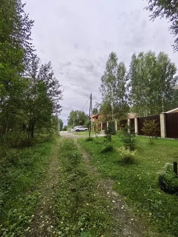 Участок в Пермский край, Пермский муниципальный округ, пос. Ферма ... - Фото 1