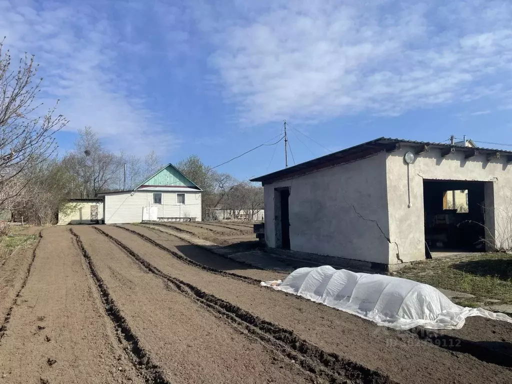 Дом в Амурская область, Благовещенск Ласточка СНТ,  (60 м) - Фото 1