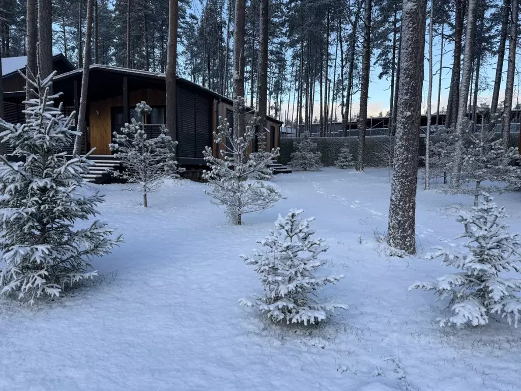 Дом в Ленинградская область, Выборгский район, Полянское с/пос, пос. ... - Фото 2