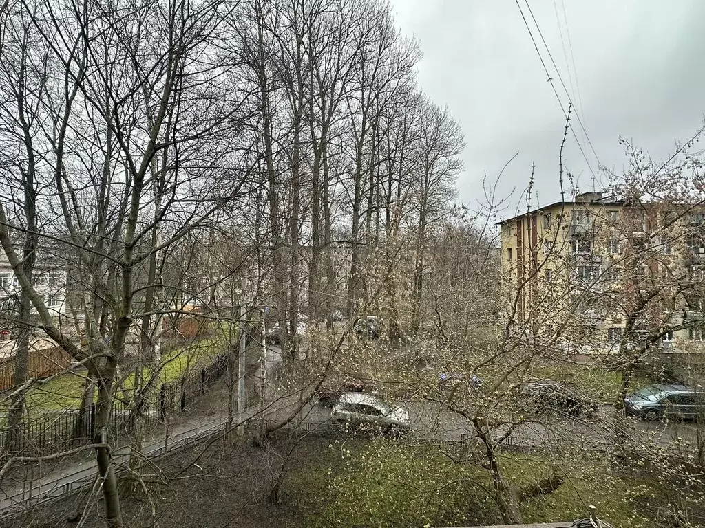 2-к кв. Санкт-Петербург просп. Металлистов, 91 (45.7 м) - Фото 2