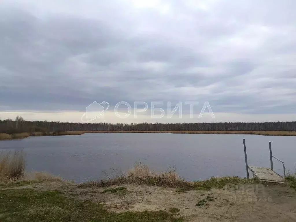 Участок в Тюменская область, Нижнетавдинский район, Ромашка СНТ ул. ... - Фото 0