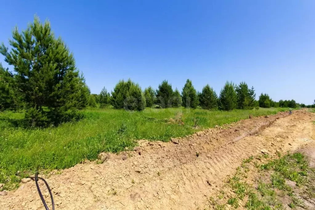 Участок в Тюменская область, Тюменский муниципальный округ, Каменское ... - Фото 1