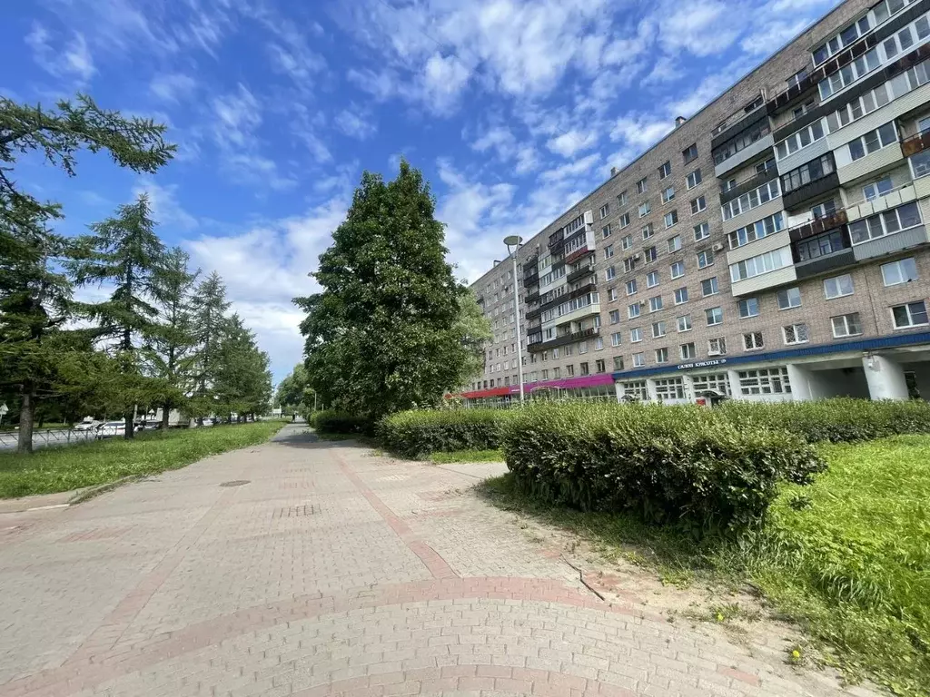 3-к кв. Санкт-Петербург Новоизмайловский просп., 4 (70.5 м) - Фото 0