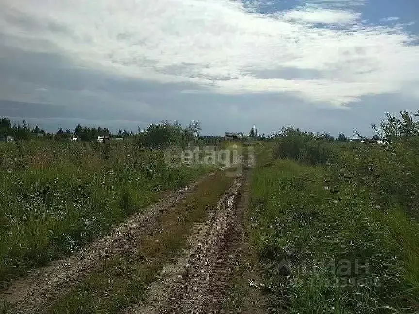 Участок в Тюменская область, Тюмень Поле Чудес СНТ, ул. Лазурная, 276 ... - Фото 1