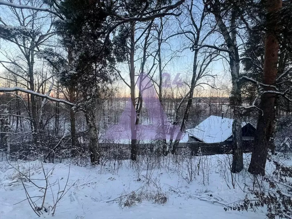 Участок в Пермский край, Пермь Курьинская ул., 7 (6.0 сот.) - Фото 1