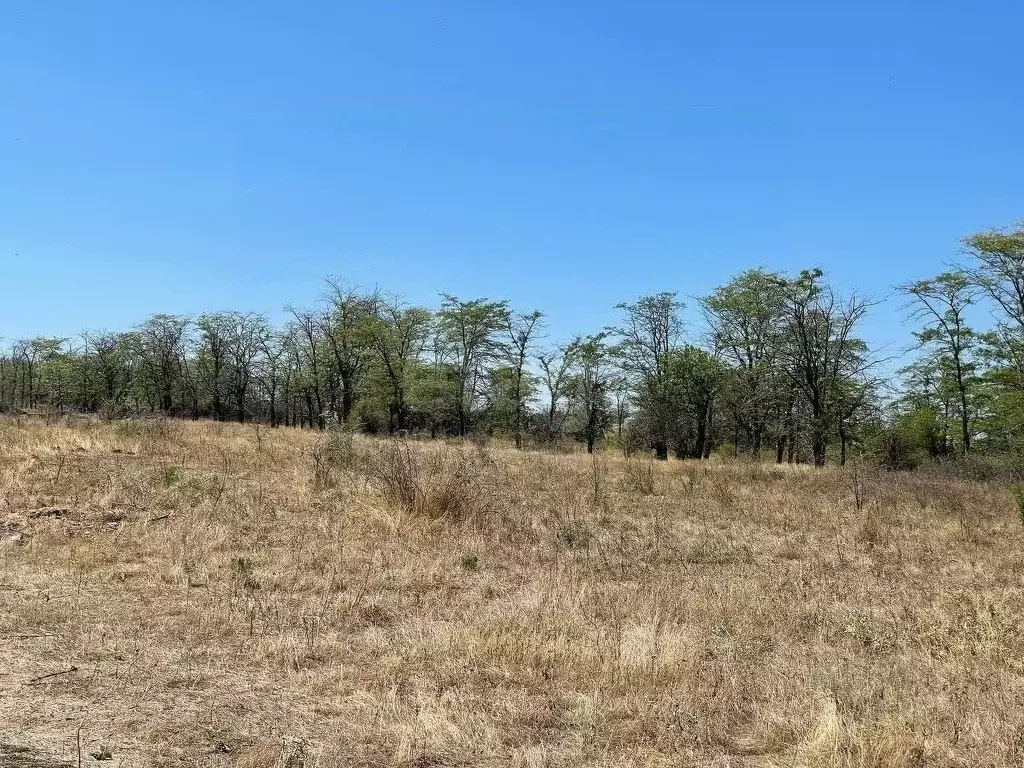 Участок в Крым, Симферопольский район, с. Мирное  (20.0 сот.) - Фото 2