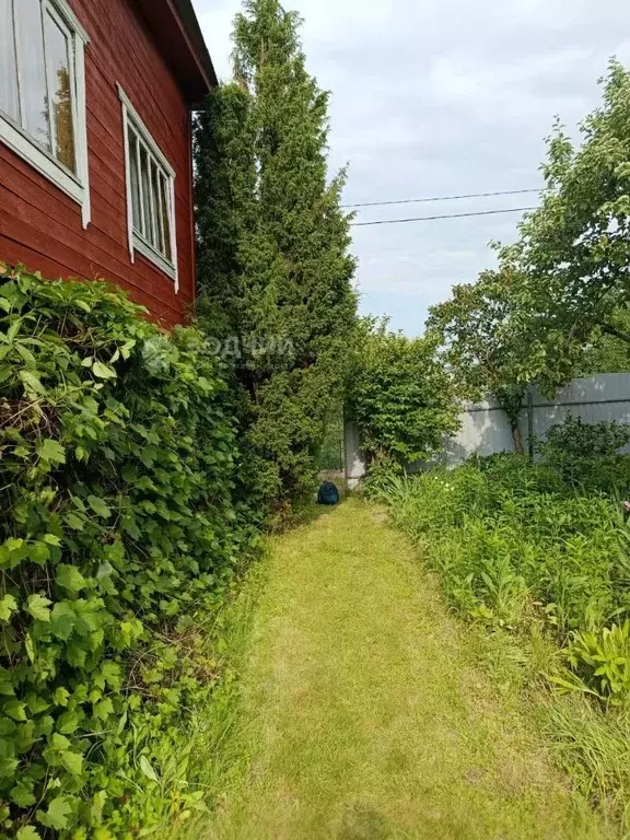 Дом в Чувашия, Моргаушский муниципальный округ, д. Шомиково  (80 м) - Фото 1