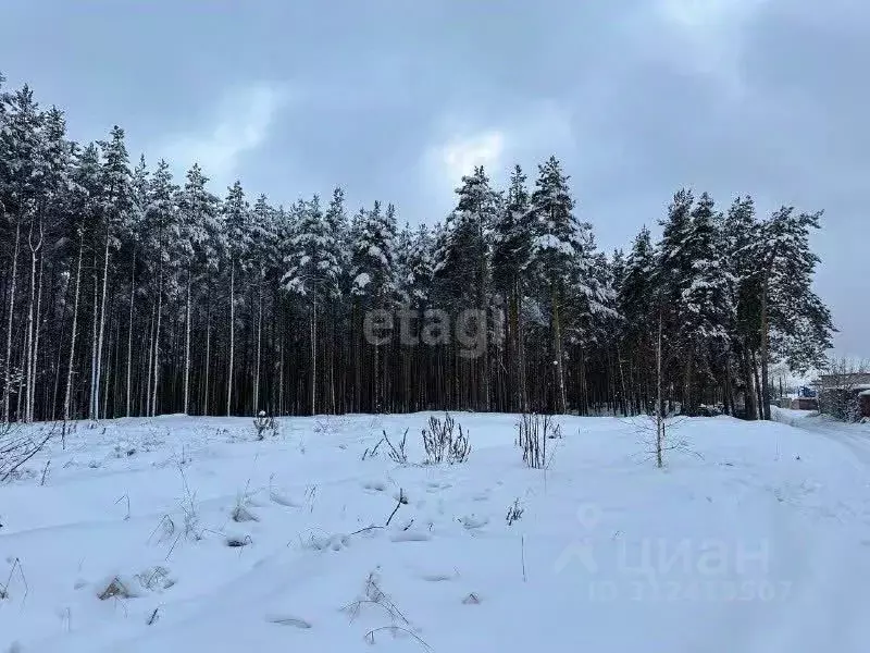 Участок в Нижегородская область, Нижний Новгород ул. Александра ... - Фото 0