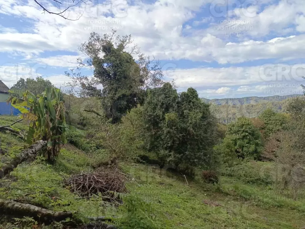 Участок в Краснодарский край, Сочи городской округ, с. Варваровка пер. ... - Фото 2