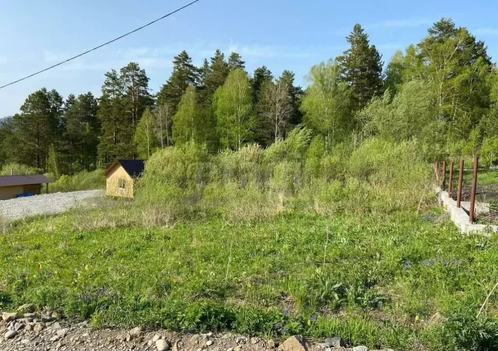 Участок в Алтай, Майминский район, Манжерокское с/пос, с. Озерное ул. ... - Фото 1