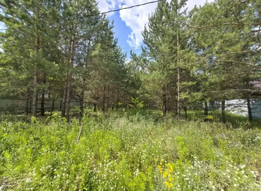 Участок в Самарская область, Красноярский район, Светлое Поле с/пос, ... - Фото 1