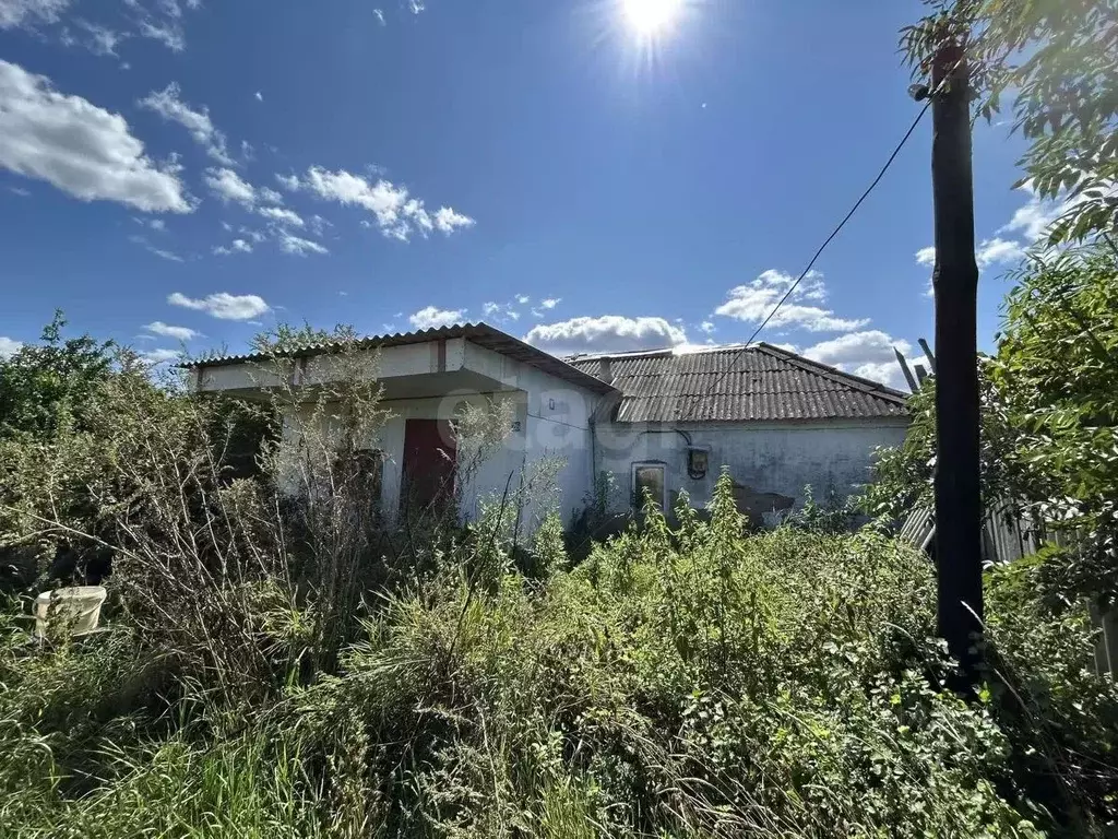 Дом в Липецкая область, Хлевенский муниципальный округ, с. Введенка ... - Фото 1