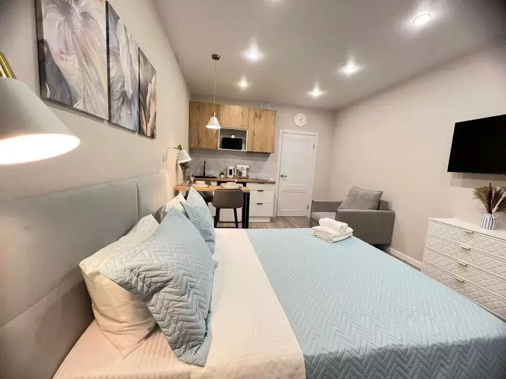 Студия Краснодарский край, Сочи ул. Искры, 88к8 (29.0 м) - Фото 2