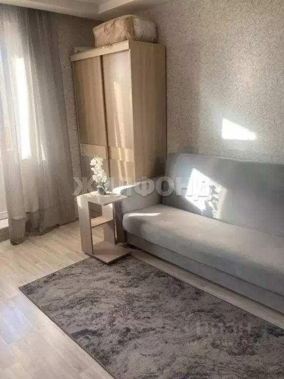 1-к кв. Новосибирская область, Новосибирск ул. Фадеева, 66/8 (25.0 м) - Фото 2