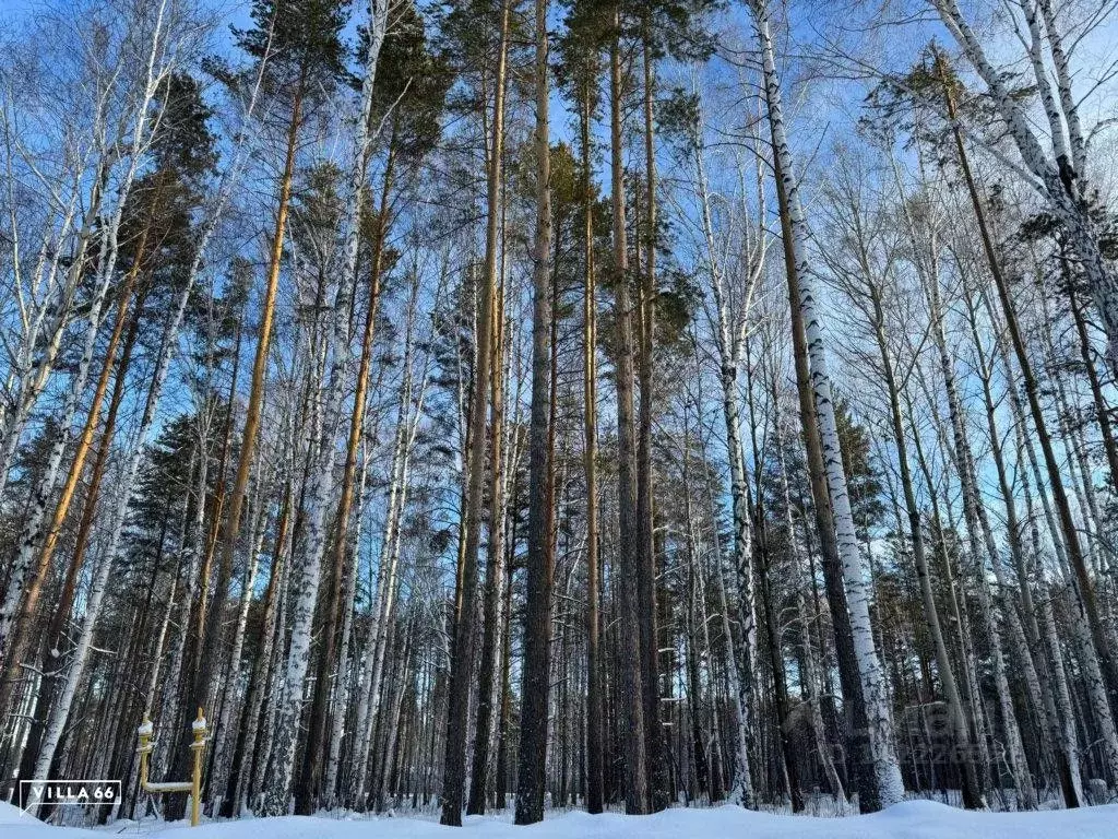 Участок в Свердловская область, Сысертский городской округ, пос. ... - Фото 0