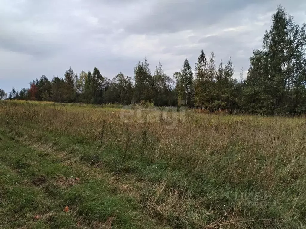 Участок в Вологодская область, Вологда Акация садоводческое ... - Фото 1