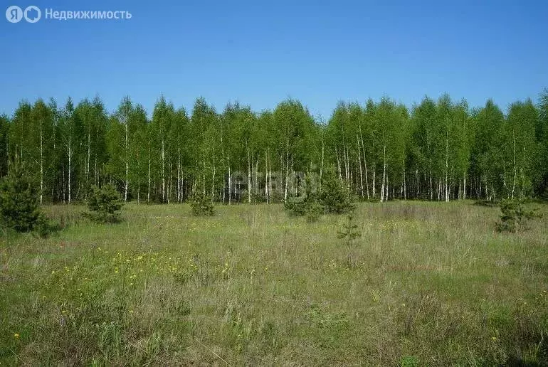 Участок в Амурская область, Благовещенский муниципальный округ, село ... - Фото 1