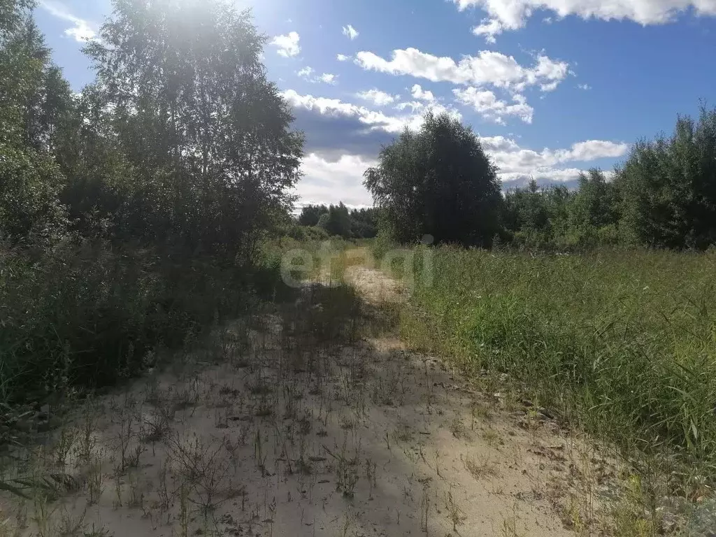 Участок в Тюменская область, Тюмень  (7.27 сот.) - Фото 1