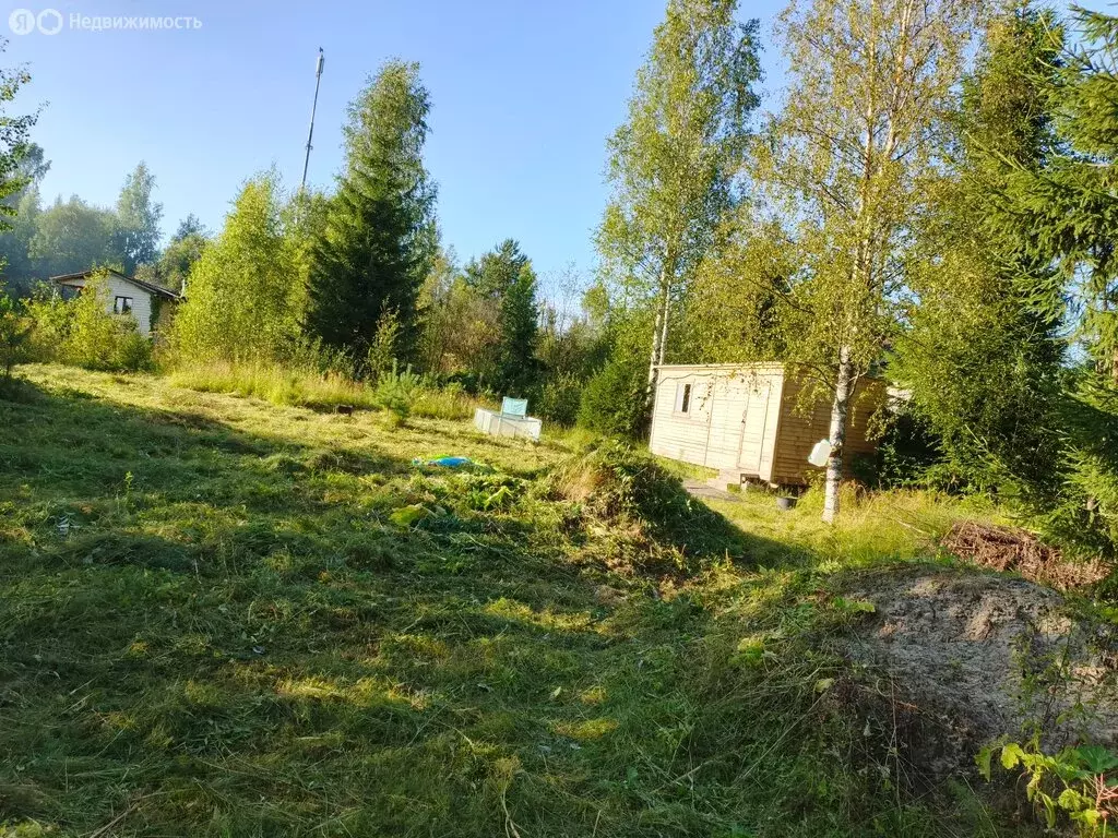 Участок в Выборгский район, Первомайское сельское поселение, ... - Фото 2