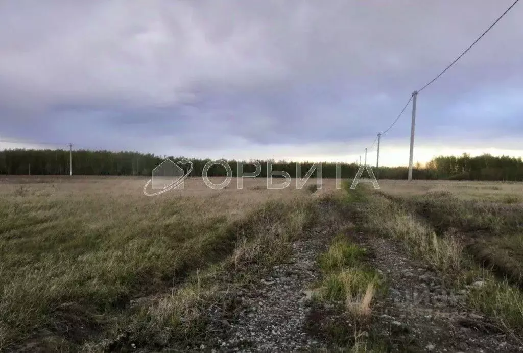 Участок в Тюменская область, Тюмень ул. Олега Антонова (6.0 сот.) - Фото 1