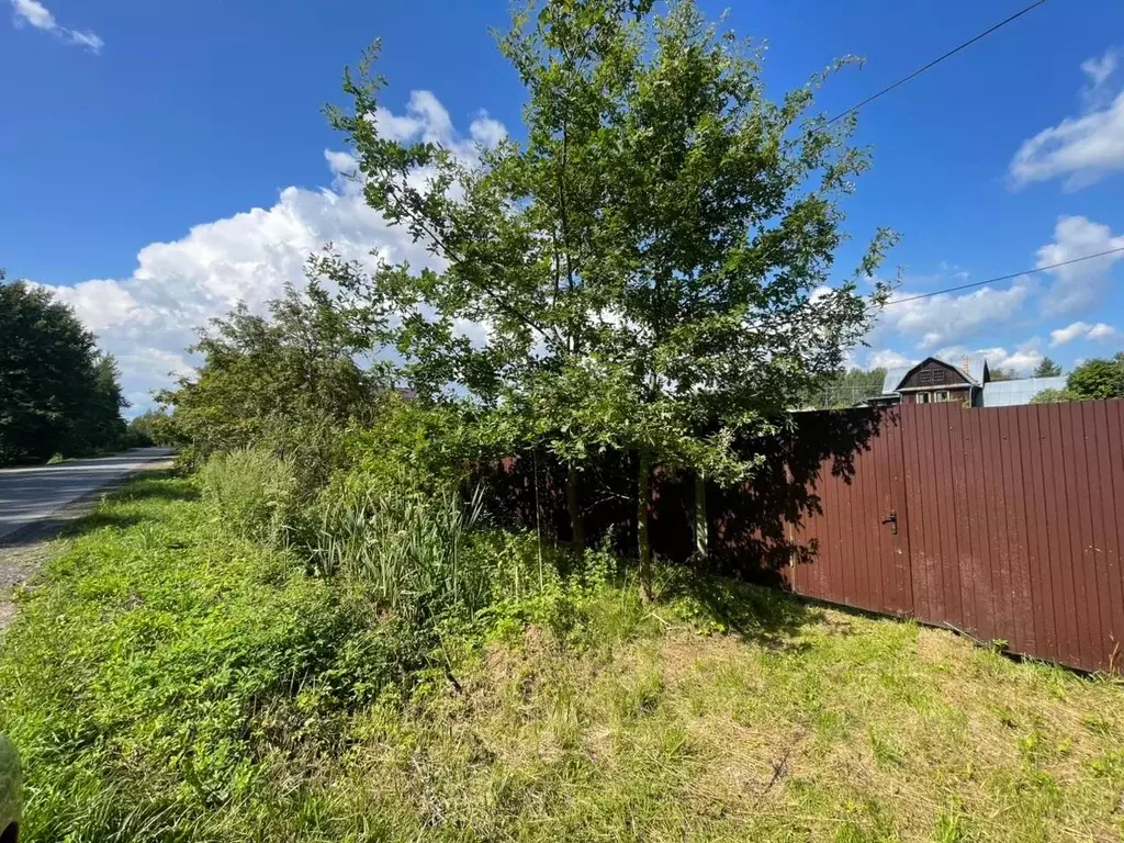 Участок в Новгородская область, Новгородский район, д. Савино  (16.0 ... - Фото 2