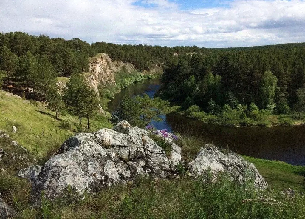 Участок в Свердловская область, Артемовский городской округ, с. ... - Фото 1