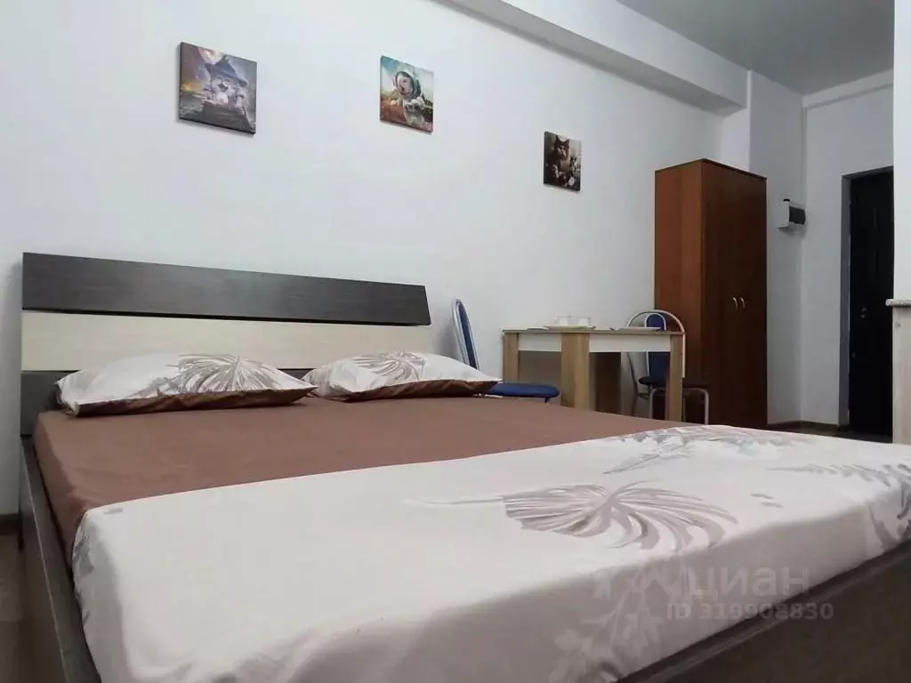 1-к кв. Самарская область, Самара ул. Гагарина, 141 (19.0 м) - Фото 0