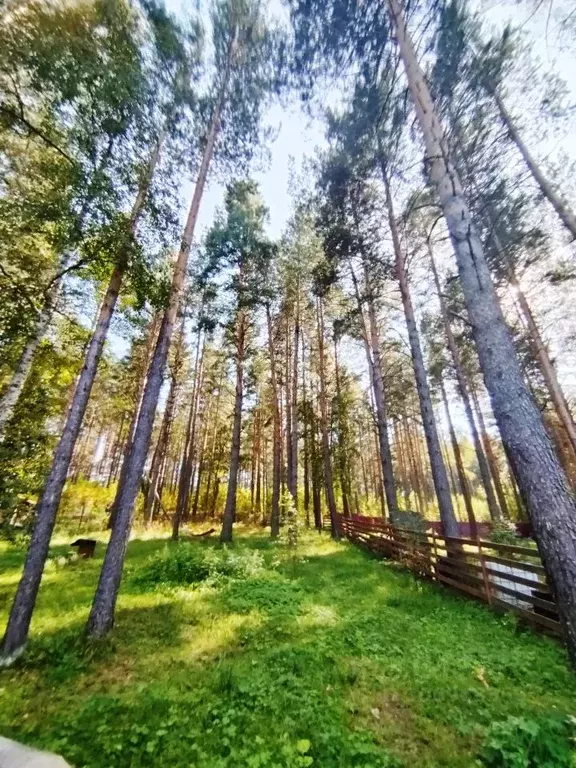 дом в башкортостан, белорецкий район, нурский сельсовет, д. шушпа . - Фото 1