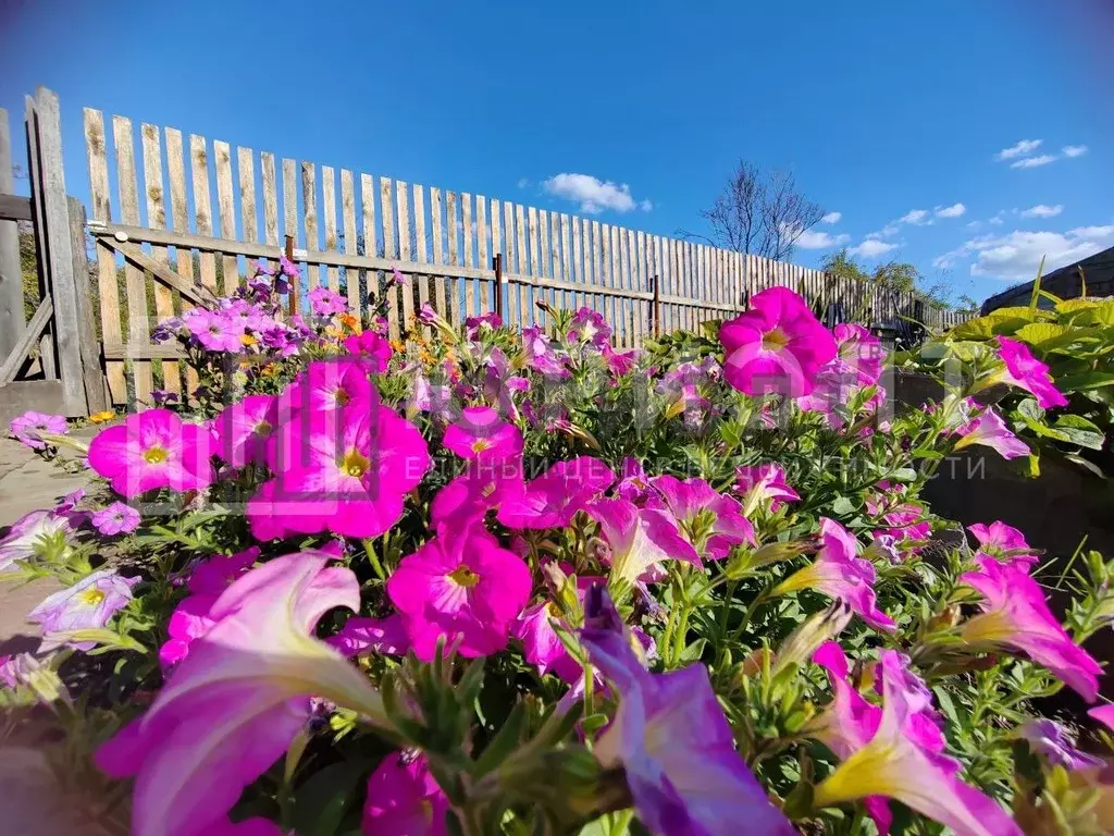 Участок в Свердловская область, Нижний Тагил Цементник КС,  (8.62 ... - Фото 1
