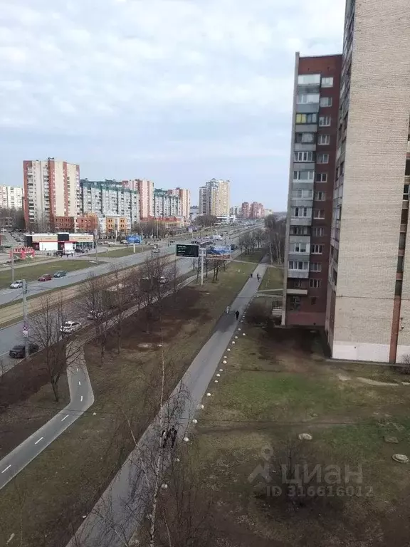 Комната Санкт-Петербург ул. Коллонтай, 7/2 (24.0 м) - Фото 0