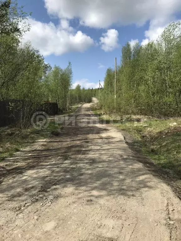 Участок в Мурманская область, Кольский район, Молочный городское ... - Фото 0