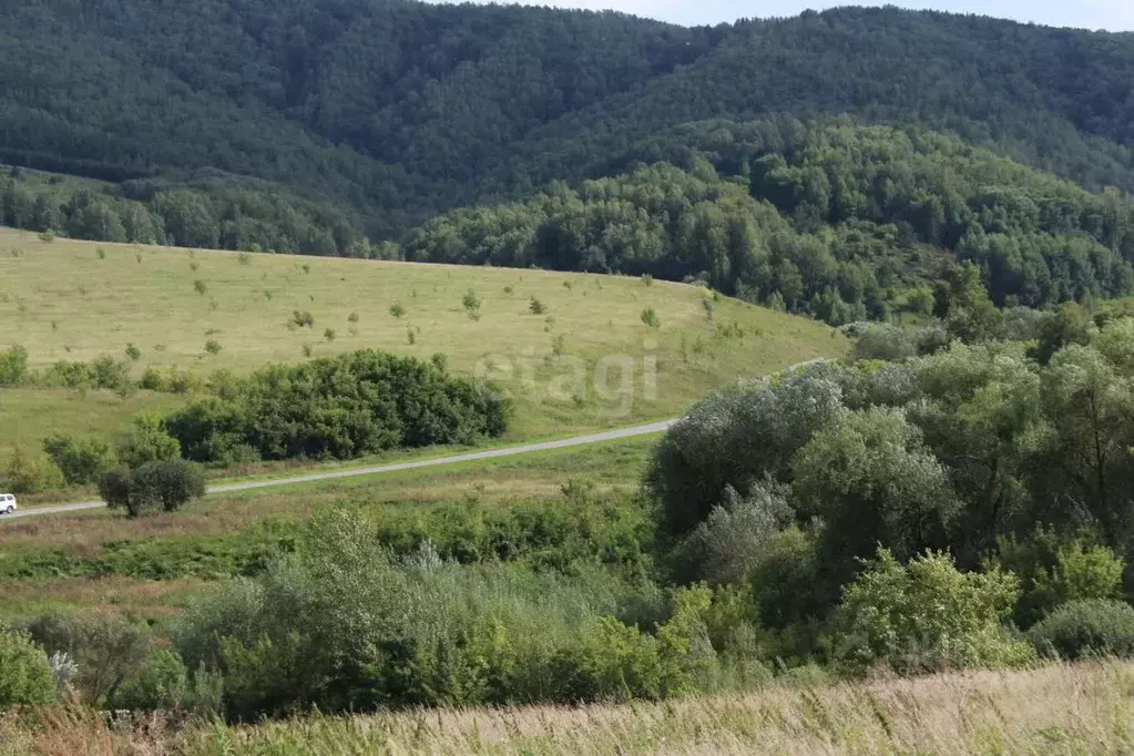 Участок в Алтайский край, Белокуриха Центральная ул. (15.0 сот.) - Фото 0