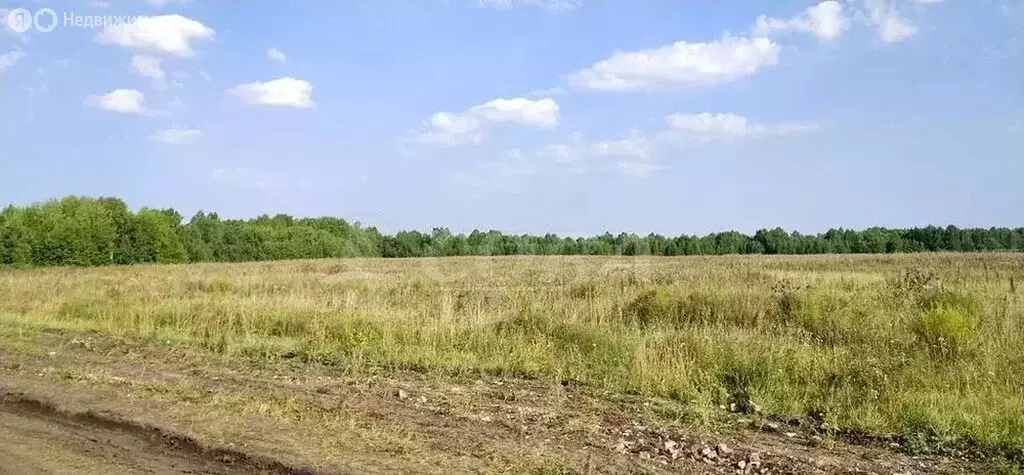 Участок в Тюмень, Калининский округ (12 м) - Фото 1