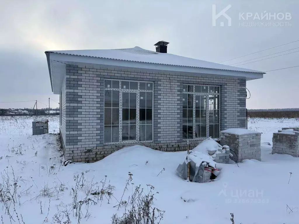 Дом в Воронежская область, Рамонский район, Новоживотинновское с/пос, ... - Фото 1