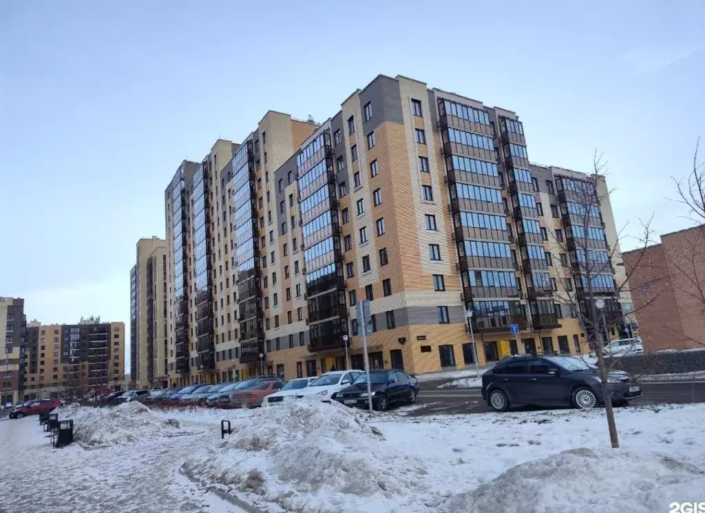 2-к кв. Красноярский край, Красноярск Регатная ул., 3 (63.0 м) - Фото 2