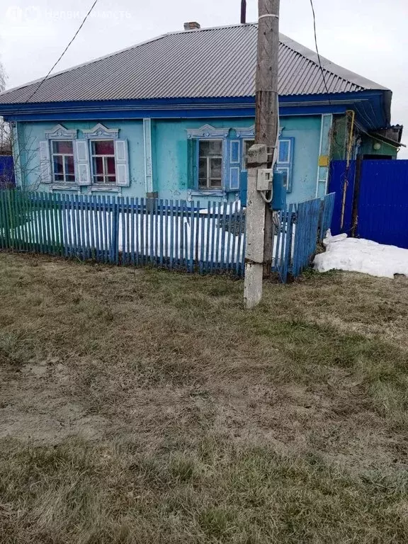 Дом в Ялуторовский район, село Зиново (40 м) - Фото 1