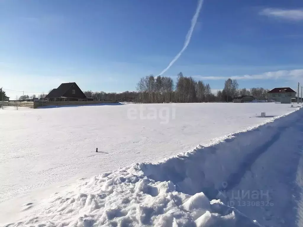 Участок в Новосибирская область, Новосибирский район, Плотниковский ... - Фото 0