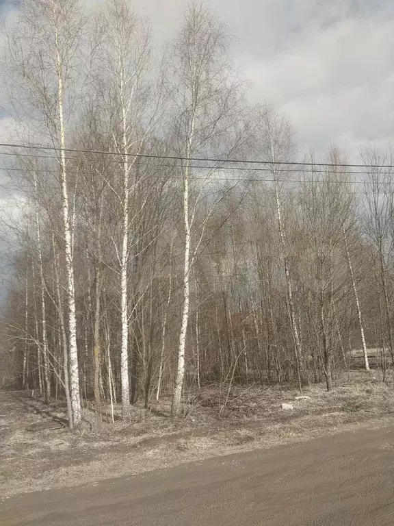 Участок 20 сот. (ИЖС) - Фото 0