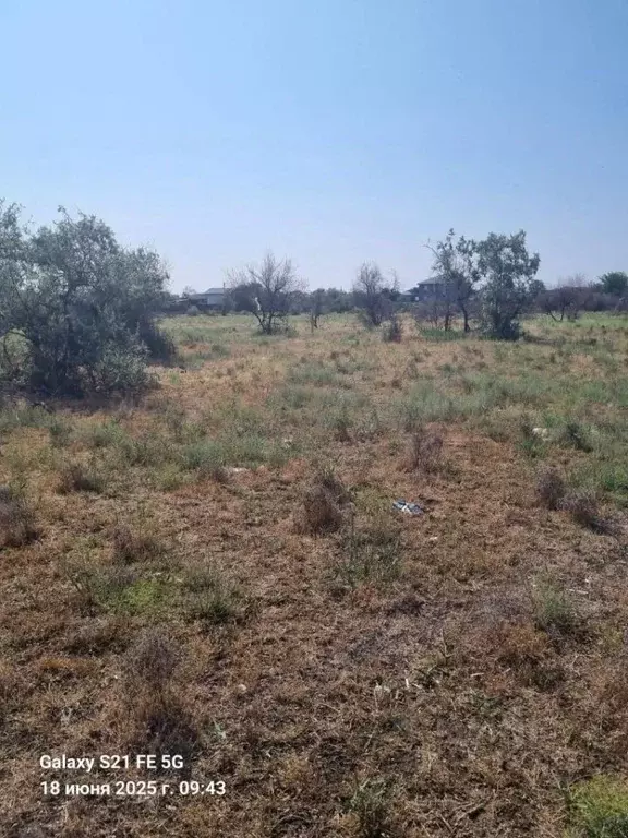 Участок в Астраханская область, Астрахань Восток СТ, 343 (11.0 сот.) - Фото 2