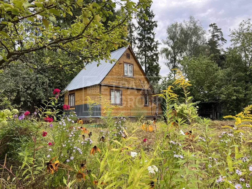 Дом в Московская область, Щелково городской округ, Заозерный СНТ ул. ... - Фото 0