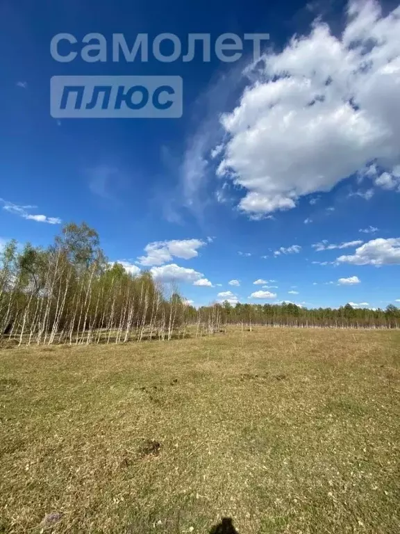 Участок в Алтай, Чемальский район, с. Бешпельтир  (90.0 сот.) - Фото 0